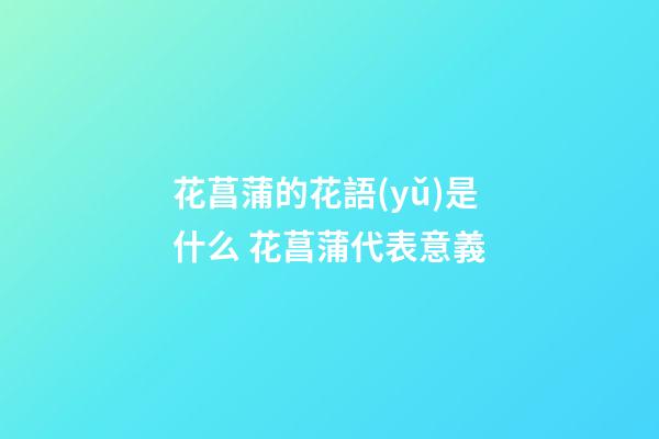 花菖蒲的花語(yǔ)是什么 花菖蒲代表意義